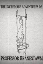 Watch The Incredible Adventures of Professor Branestawm Zoechip