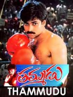 Watch Thammudu Zoechip