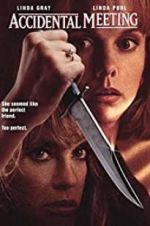 Watch Accidental Meeting Zoechip