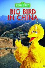 Watch Big Bird in China Zoechip