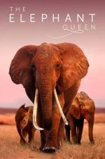Watch The Elephant Queen Zoechip