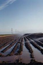 Watch El Valley Centro Zoechip