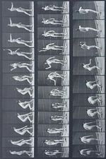 Watch Woman Throwing Baseball Zoechip