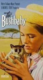 Watch The Bushbaby Zoechip