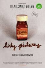 Watch Dirty Pictures Zoechip