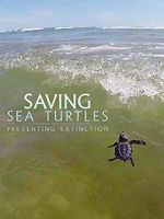 Watch Saving Sea Turtles: Preventing Extinction Zoechip