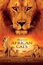 Watch African Cats Zoechip