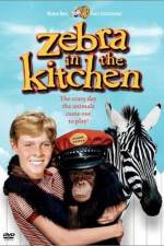 Watch Zebra in the Kitchen Zoechip
