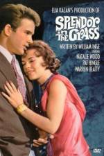 Watch Splendor in the Grass Zoechip