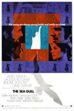 Watch The Sea Gull Zoechip