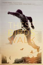 Watch These Birds Walk Zoechip