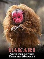 Watch Uakari: Secrets of the English Monkey Zoechip