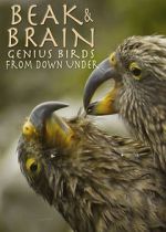 Watch Beak & Brain - Genius Birds from Down Under Zoechip