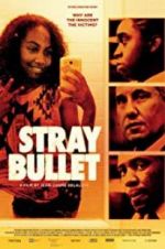 Watch Stray Bullet Zoechip