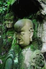 Watch The Thousand Years Old Man (  ) Zoechip