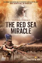 Watch Patterns of Evidence: The Red Sea Miracle Zoechip