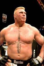 Watch Brock Lesnar 7 Fights Zoechip