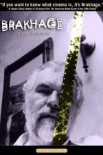 Watch Brakhage Zoechip
