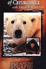Watch The Polar Bears of Churchill with Ewan McGregor Zoechip