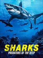 Watch Sharks: Predators of the Deep Zoechip