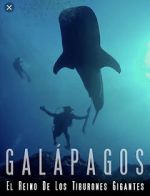 Watch Galapagos: Realm of Giant Sharks Zoechip