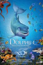 Watch The Dolphin Story of a Dreamer Zoechip