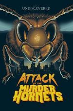 Watch Attack of the Murder Hornets Zoechip