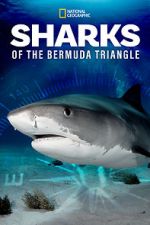 Watch Sharks of the Bermuda Triangle (TV Special 2020) Zoechip