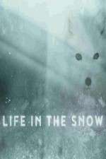 Watch Life in the Snow Zoechip