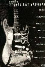 Watch A Tribute to Stevie Ray Vaughan Zoechip