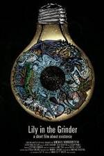 Watch Lily in the Grinder Zoechip