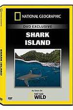 Watch National Geographic: Shark Island Zoechip