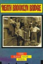 Watch Neath Brooklyn Bridge Zoechip