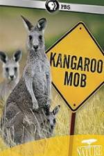 Watch Kangaroo Mob Zoechip