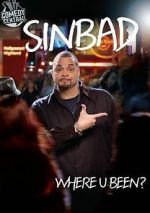 Watch Sinbad: Where U Been? Zoechip