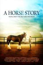 Watch A Horse Story Zoechip