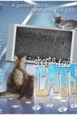 Watch Shorts for Cats Zoechip