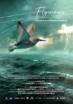Watch Flyways: the untold journey of migratory shorebirds Zoechip