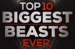 Watch Top 10 Biggest Beasts Ever Zoechip