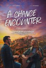 Watch A Chance Encounter Zoechip