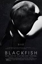 Watch Blackfish Zoechip