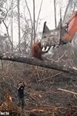 Watch Climate Change: The Facts Zoechip