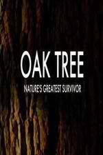 Watch Oak Tree Natures Greatest Survivor Zoechip
