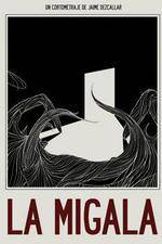 Watch The Bird Spider Zoechip