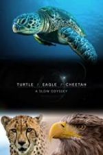 Watch Turtle, Eagle, Cheetah: A Slow Odyssey Zoechip
