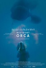 Watch Resident Orca Zoechip
