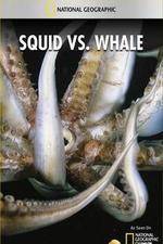 Watch National Geographic Wild - Squid Vs Whale Zoechip