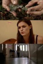 Watch How Drugs Work: Cannabis Zoechip