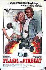 Watch Flash and the Firecat Zoechip