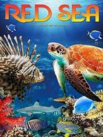 Watch Red Sea 4K Zoechip